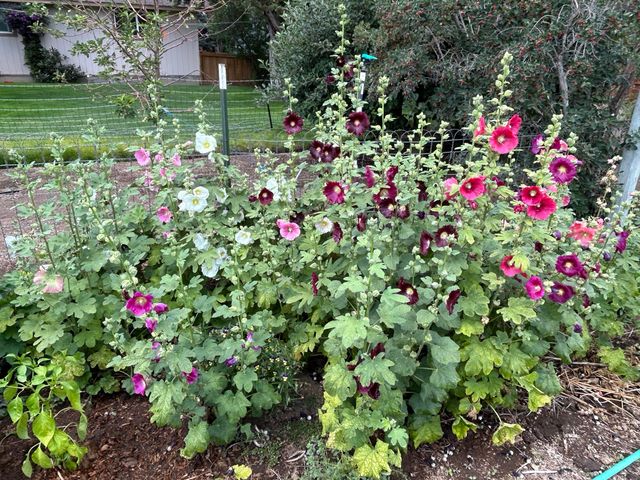 2218 SW 79th Street, Redmond, OR 97756