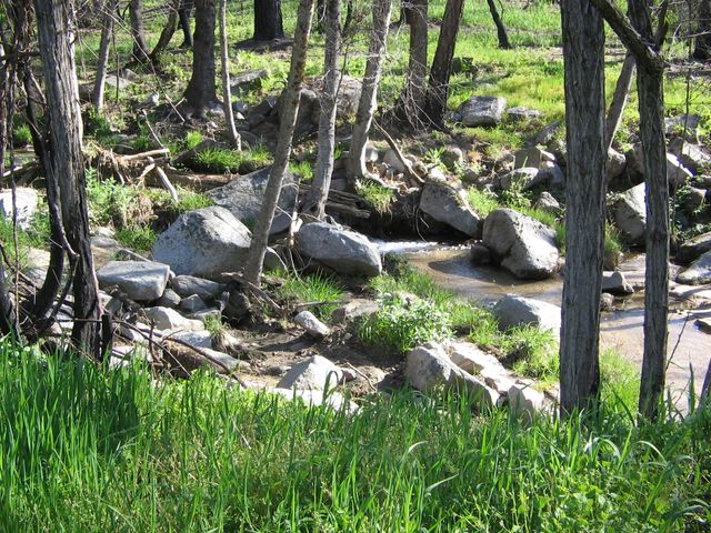 6949 Rector Creek Road, Igo, CA 96047