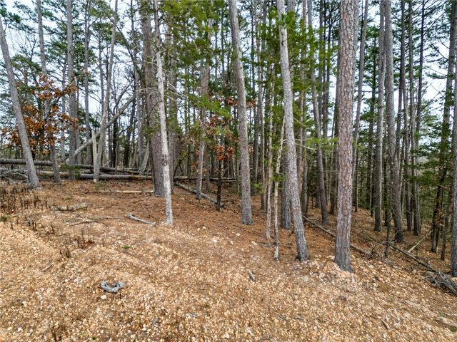 Lot 8 Blisslake Lane, Rogers, AR 72756