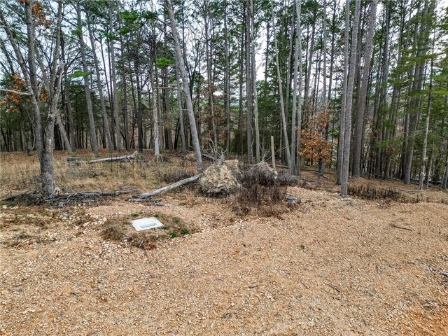 Lot 8 Blisslake Lane, Rogers, AR 72756