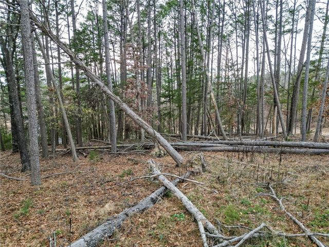 Lot 8 Blisslake Lane, Rogers, AR 72756