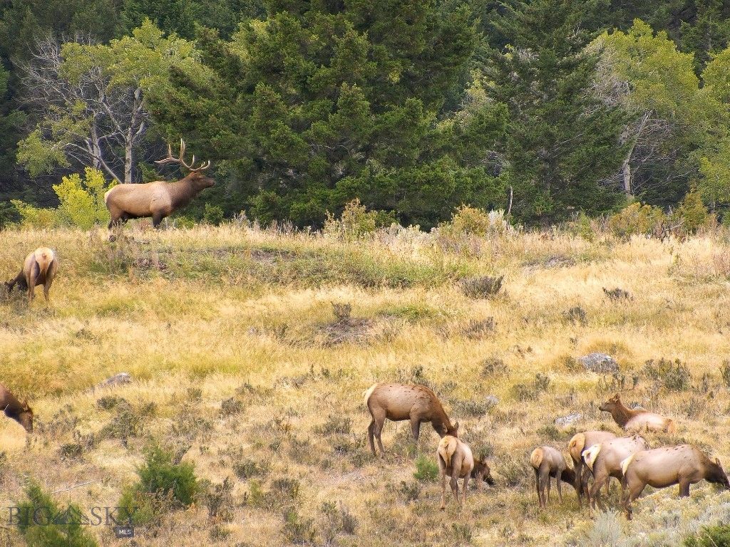 1111 Moonrise Way, West Yellowstone, MT 59758 photo 30