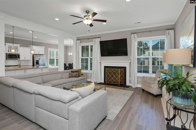 142 Almofini Lane, Chapin, SC 29036