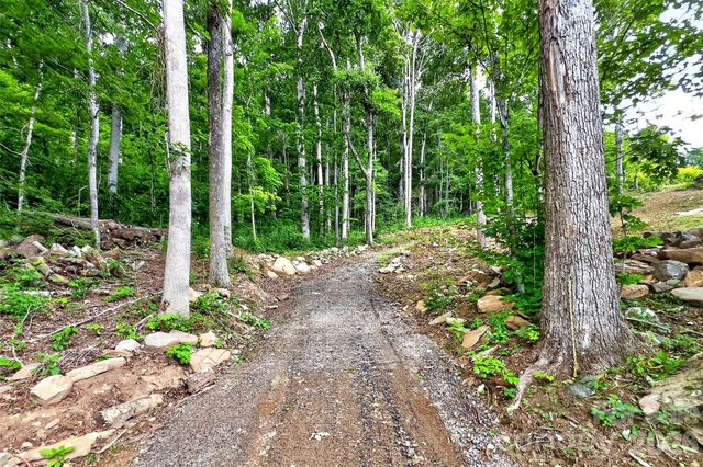 16 Nellie Bell Lane, Swannanoa, NC 28778