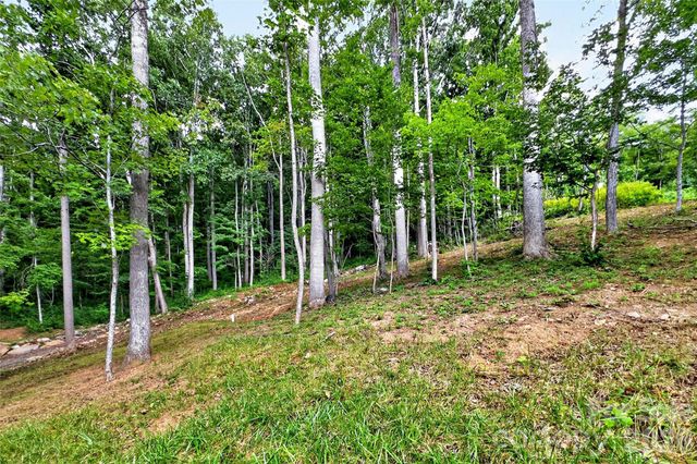 16 Nellie Bell Lane, Swannanoa, NC 28778