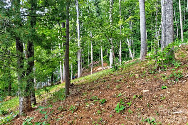 16 Nellie Bell Lane, Swannanoa, NC 28778
