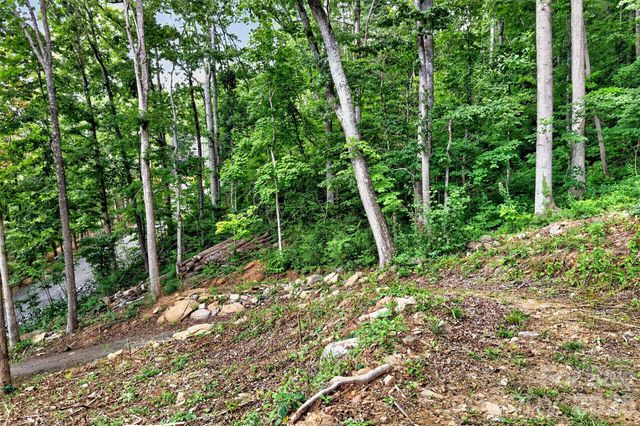 16 Nellie Bell Lane, Swannanoa, NC 28778