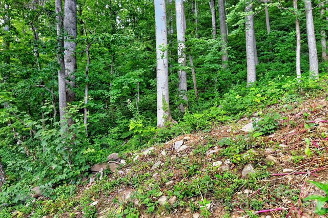 16 Nellie Bell Lane, Swannanoa, NC 28778