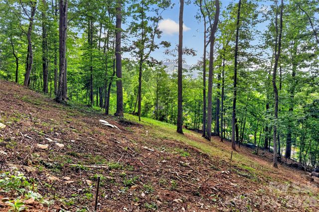 16 Nellie Bell Lane, Swannanoa, NC 28778