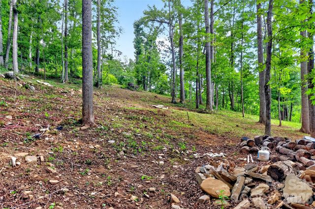 16 Nellie Bell Lane, Swannanoa, NC 28778