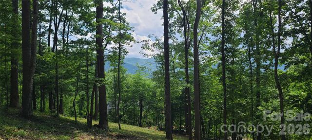 16 Nellie Bell Lane, Swannanoa, NC 28778