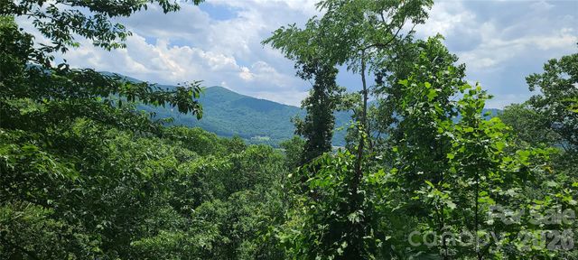 16 Nellie Bell Lane, Swannanoa, NC 28778