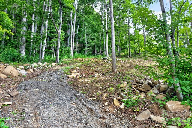 16 Nellie Bell Lane, Swannanoa, NC 28778