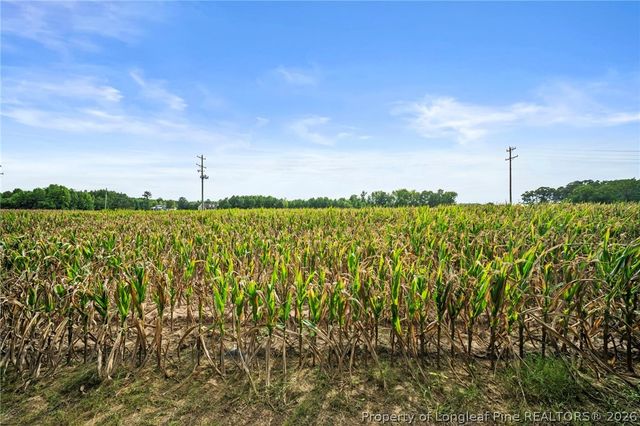194 Pendergraft Road, Bunnlevel, NC 28323