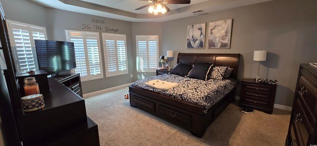 206 Astoria Park Loop, Conway, SC 29526