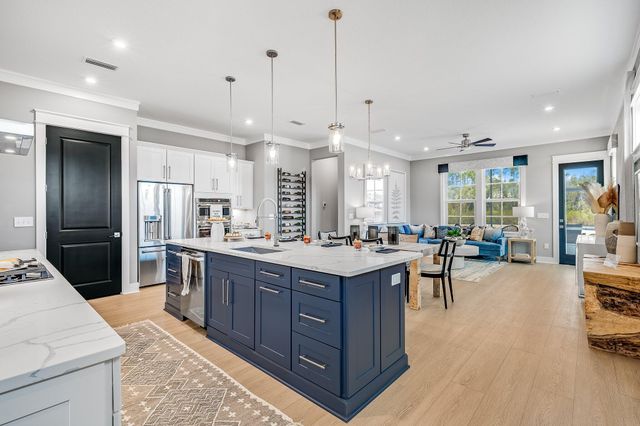 323 B Suwannee Drive #72B, Watersound, FL 32461