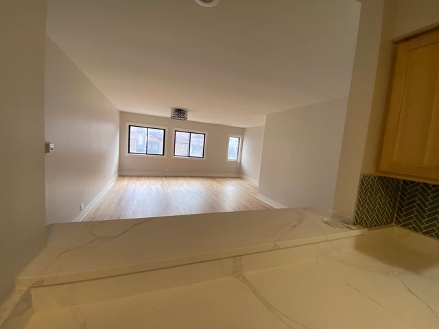 1455 W Fullerton Avenue 203, Chicago, IL 60614