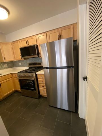 1455 W Fullerton Avenue 203, Chicago, IL 60614