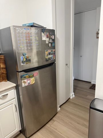 10 E Ontario Street 5007, Chicago, IL 60611