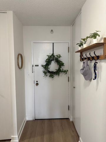 10 E Ontario Street 5007, Chicago, IL 60611