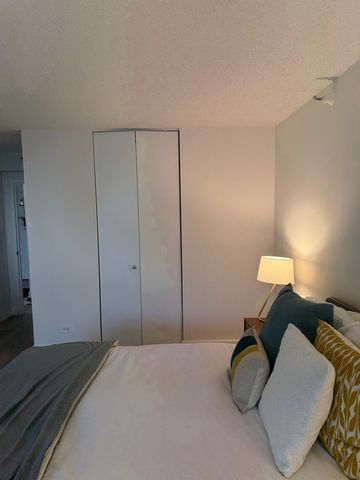 10 E Ontario Street 5007, Chicago, IL 60611