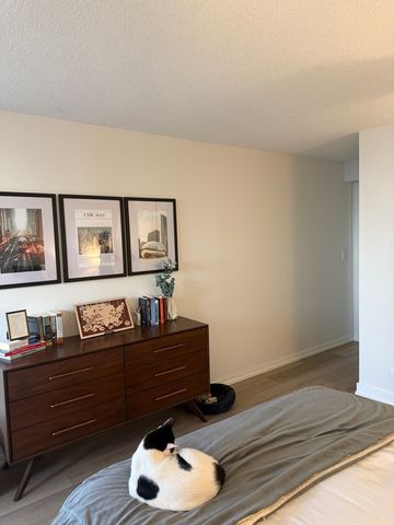 10 E Ontario Street 5007, Chicago, IL 60611