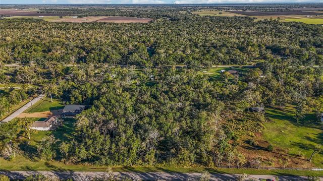 6051 Loyce Lane, Damon, TX 77430