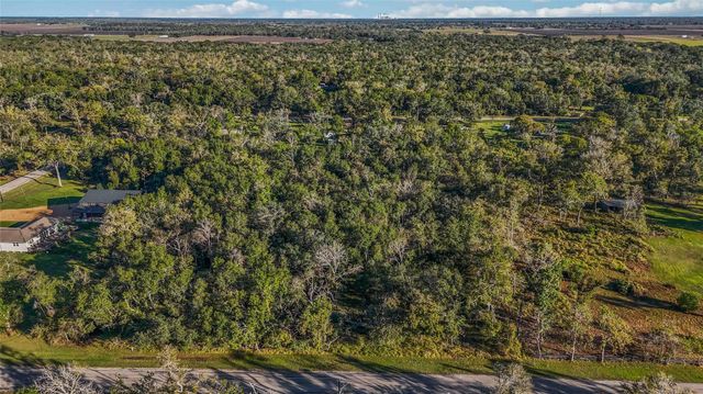 6051 Loyce Lane, Damon, TX 77430