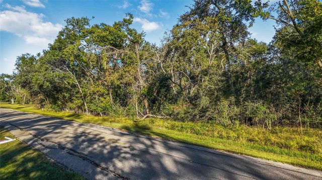 6051 Loyce Lane, Damon, TX 77430