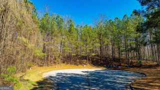 713 Saint Jude Court, Ellenwood, GA 30294