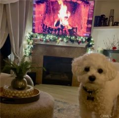 8692 9th 29, Rancho Cucamonga, CA 91730