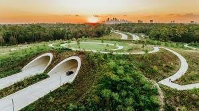 5327 Paseo Caceres Drive, Houston, TX 77007