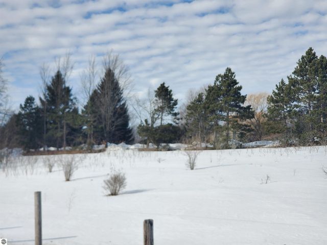 Parcel 1 E Lincoln Road, Cedar, MI 49621