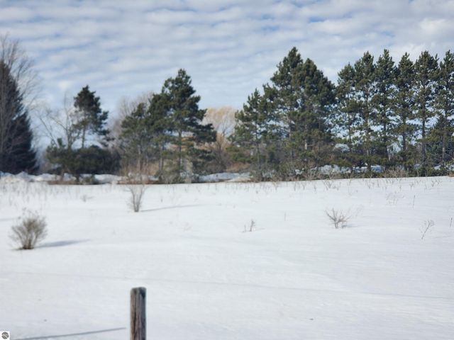 Parcel 1 E Lincoln Road, Cedar, MI 49621