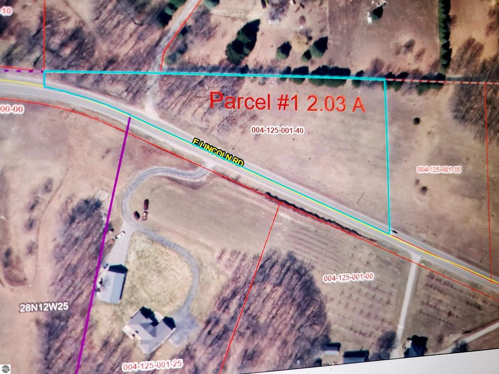 Parcel 1 E Lincoln Road, Cedar, MI 49621