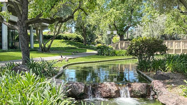 460 N. Civic Drive 311, Walnut Creek, CA 94596