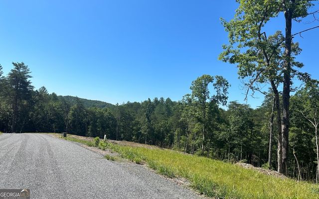 LT 12 Mountain Laurel Ridge, Mineral Bluff, GA 30559