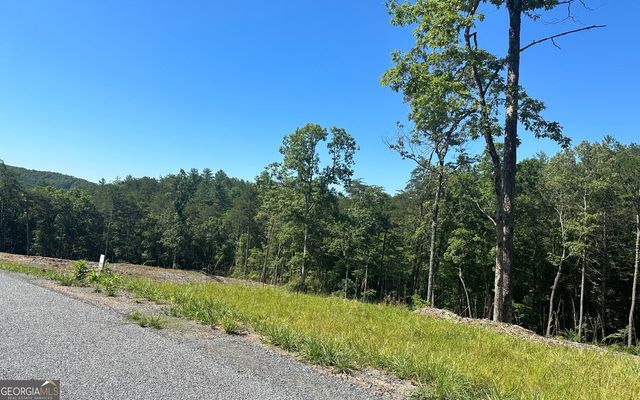 LT 12 Mountain Laurel Ridge, Mineral Bluff, GA 30559
