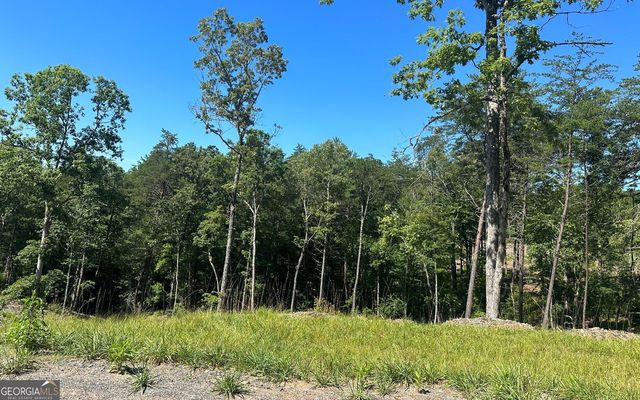 LT 12 Mountain Laurel Ridge, Mineral Bluff, GA 30559