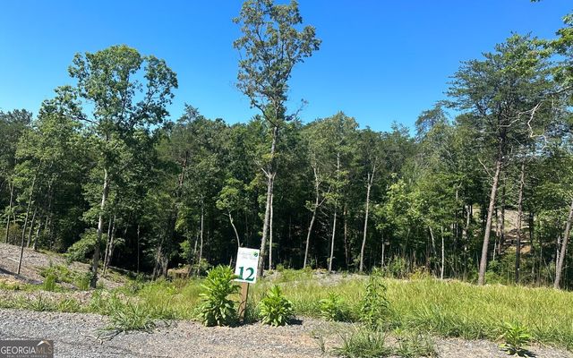 LT 12 Mountain Laurel Ridge, Mineral Bluff, GA 30559