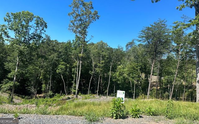 LT 12 Mountain Laurel Ridge, Mineral Bluff, GA 30559