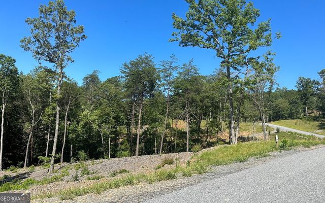 LT 12 Mountain Laurel Ridge, Mineral Bluff, GA 30559