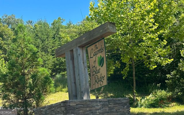 LT 12 Mountain Laurel Ridge, Mineral Bluff, GA 30559