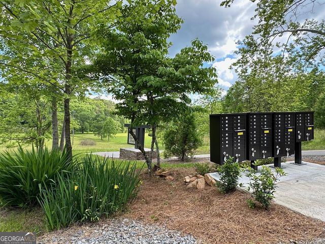 LT 12 Mountain Laurel Ridge, Mineral Bluff, GA 30559