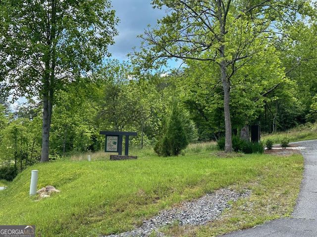 LT 12 Mountain Laurel Ridge, Mineral Bluff, GA 30559