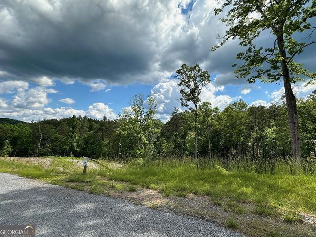 LT 12 Mountain Laurel Ridge, Mineral Bluff, GA 30559