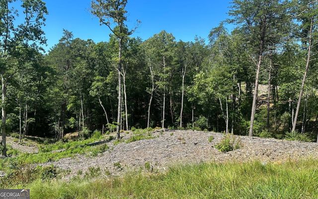 LT 12 Mountain Laurel Ridge, Mineral Bluff, GA 30559