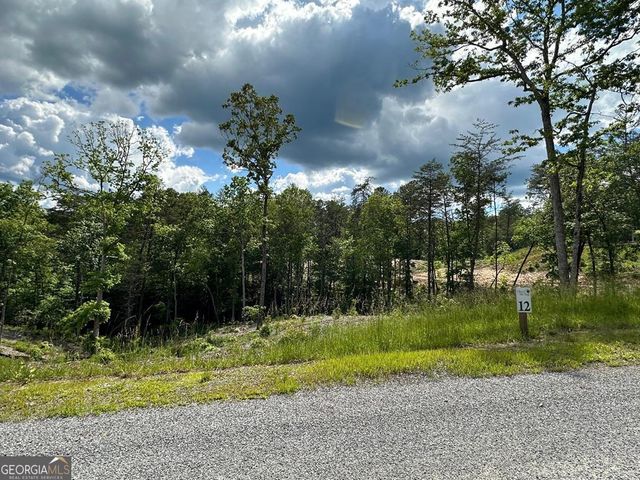 LT 12 Mountain Laurel Ridge, Mineral Bluff, GA 30559