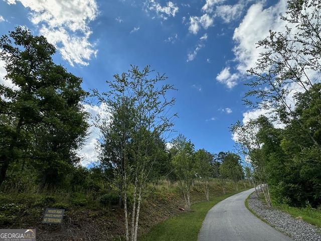 LT 12 Mountain Laurel Ridge, Mineral Bluff, GA 30559