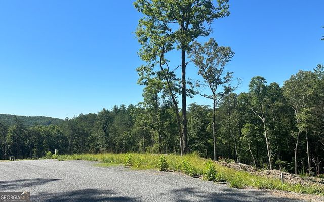 LT 12 Mountain Laurel Ridge, Mineral Bluff, GA 30559